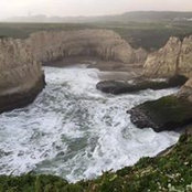 Nikki Sears's photo