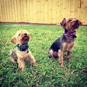 Dana Flaherty's photo