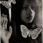 kulap's photo