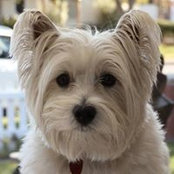 Steven Southworth's photo
