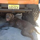 Enzo Magness's photo