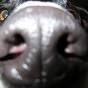 Scott Williams's photo