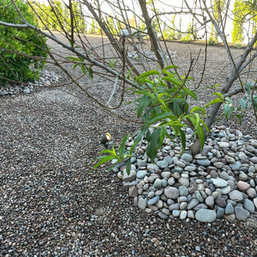 Full EE Backyard