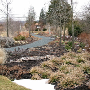 Deer Resistant Garden