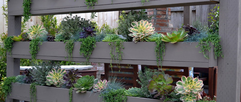 Living Gardens Landscape Design - Project Photos & Reviews - San Clemente,  CA US | Houzz
