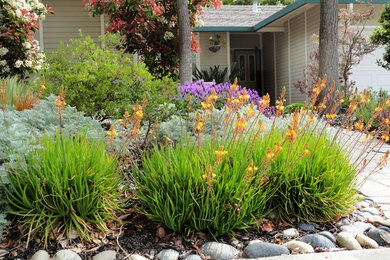 This is an example of a mid-sized mediterranean drought-tolerant and full sun front yard concrete paver garden path in San Francisco.