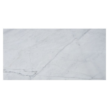 8"x16" Italian Carrara Venato Tile Polished and Beveled
