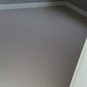 Grey Carpet to Room in South London