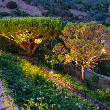 Pacific Palisades Hillside Serenity