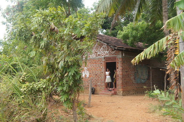 Личный опыт: дом и быт на Шри-Ланке