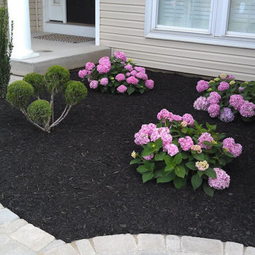 Our Work