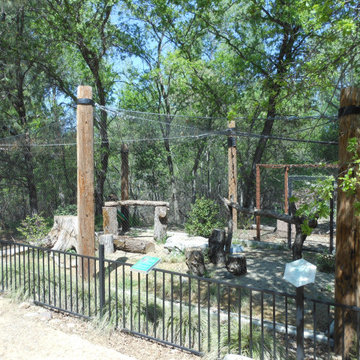 Turtle Bay Exploration Park - Multi-Species Exhibit (2014)