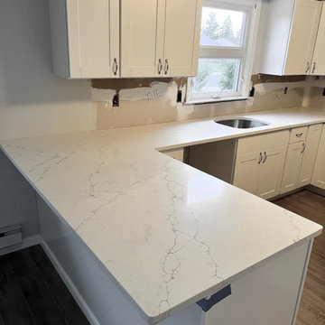 Everest Statuary Fine Vein Quartz