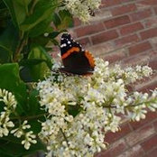Rita Ramirez's photo