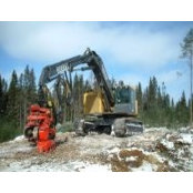 Steeve Paradis's photo