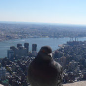 Klaus Doerner's photo