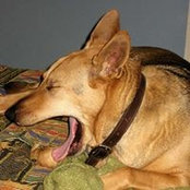Chris Brinkley's photo
