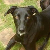 Aruna Kapoor's photo
