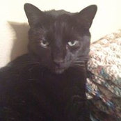 Suzette Johnson's photo
