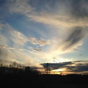 Carol Johnsons foto