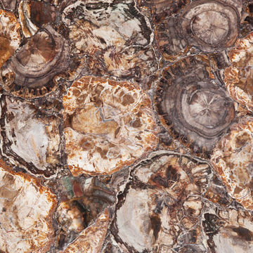 Petrified Wood-Aura Semi Precious Stone