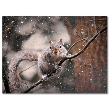 Jai Johnson 'Snow Day Squirrel' Canvas Art, 24 x 18