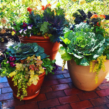 Fall Container Garden Design