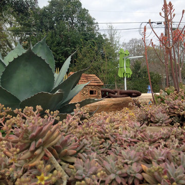 cactus & Succulent Gardens
