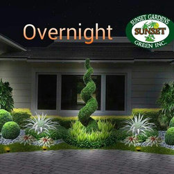 Pinecrest-3 - Products