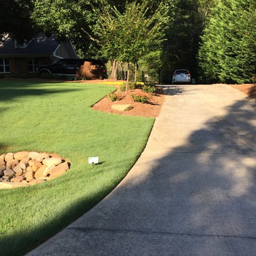 Landscape Design & Installation