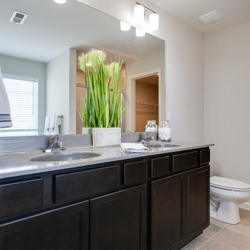 The Trend Collection by Ball Homes