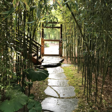 East Hampton, NY - Revegetation Design and Installation