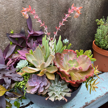 Greenwich Street Secret Garden