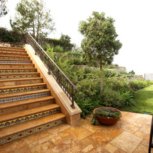 Garden/back yard