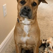 Melissa Rowzie's photo