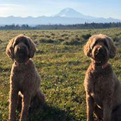 Jill Corcoran's photo