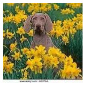 Laura Bernard's photo