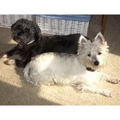 Elaine Yates's photo