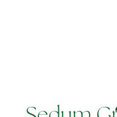 Sedum Green Roof Limited's profile photo
