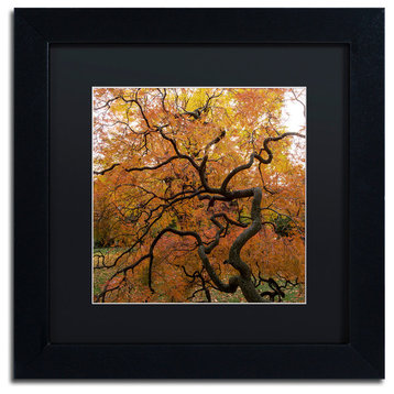 Kurt Shaffer 'October Japanese Maple' Matted Framed Art