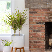 Decor Ideas