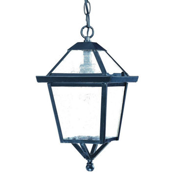 Acclaim Bay Street 1-Light Outdoor Hanging Lantern 7616BK - Matte Black