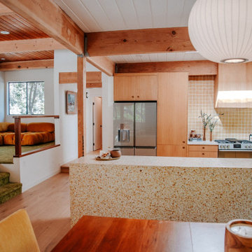 Mandeville Canyon Mid-Century Treehouse