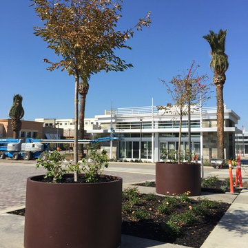 Main Street Cupertino
