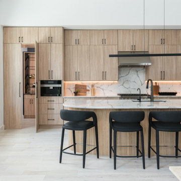 South Tampa Modern Organic