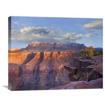 "Sandstone Cliffs From Toroweap Overlook, Grand Canyon Np, AZ" Artwork