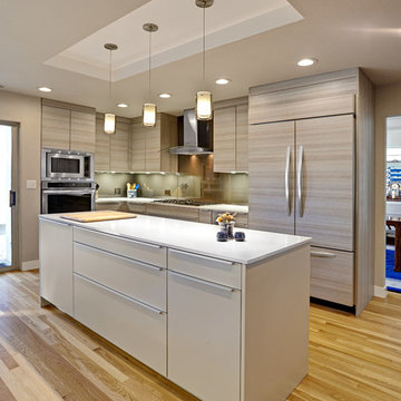 Arden Park Clean Contemporary. Nar Fine Carpentry. Sacramento. El Dorado Hills