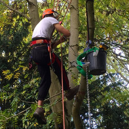 Installing a Treehouse Life Nest Swing project - Products