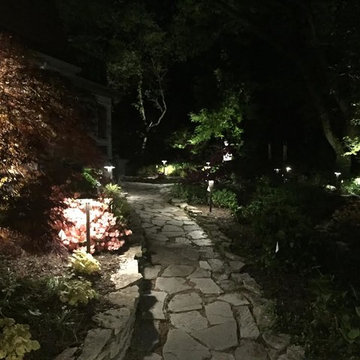 Path Lighting