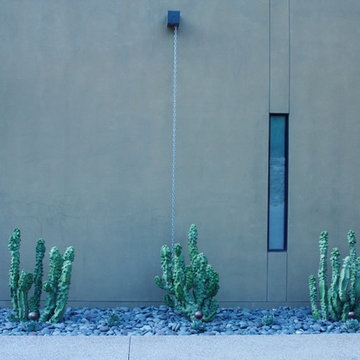 Contemporary Cactus Garden